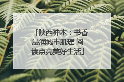 陕西神木：书香浸润城市肌理 阅读点亮美好生活