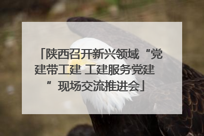 陕西召开新兴领域“党建带工建 工建服务党建”现场交流推进会