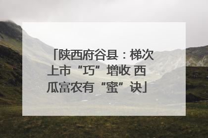 陕西府谷县：梯次上市“巧”增收 西瓜富农有“蜜”诀