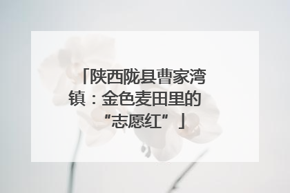 陕西陇县曹家湾镇：金色麦田里的“志愿红”
