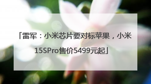 雷军：小米芯片要对标苹果，小米15SPro售价5499元起