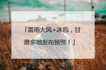 雷雨大风+冰雹，甘肃多地发布预警！