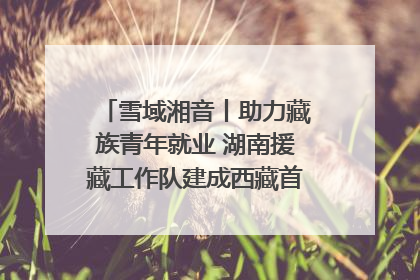 雪域湘音丨助力藏族青年就业 湖南援藏工作队建成西藏首个清洁能源装备园