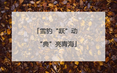 雪豹“跃”动 “典”亮青海