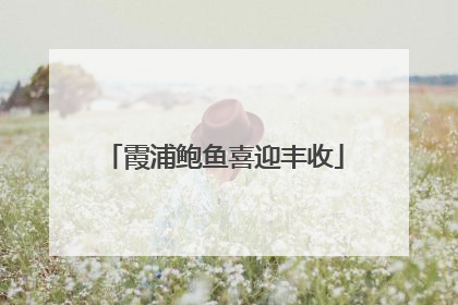 霞浦鲍鱼喜迎丰收