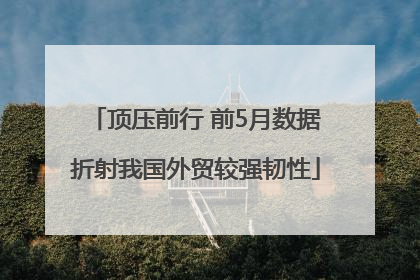 顶压前行 前5月数据折射我国外贸较强韧性