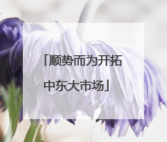 顺势而为开拓中东大市场