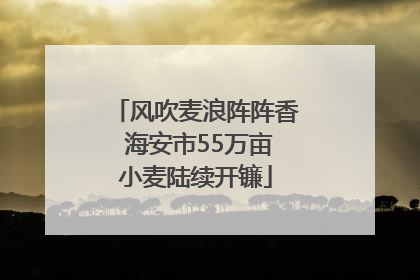 风吹麦浪阵阵香 海安市55万亩小麦陆续开镰