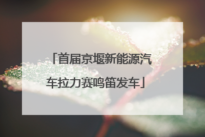首届京堰新能源汽车拉力赛鸣笛发车