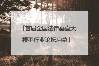 首届全国法律垂直大模型行业论坛启幕