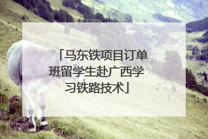 马东铁项目订单班留学生赴广西学习铁路技术