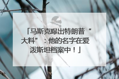 马斯克曝出特朗普“大料”：他的名字在爱泼斯坦档案中！