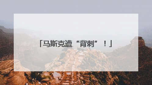 马斯克遭“背刺”！