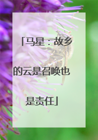 马星：故乡的云是召唤也是责任