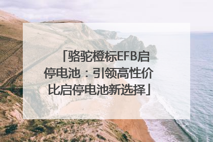 骆驼橙标EFB启停电池：引领高性价比启停电池新选择