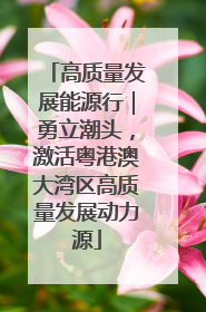 高质量发展能源行｜勇立潮头，激活粤港澳大湾区高质量发展动力源