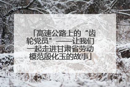 高速公路上的“齿轮党员”——让我们一起走进甘肃省劳动模范殷化玉的故事