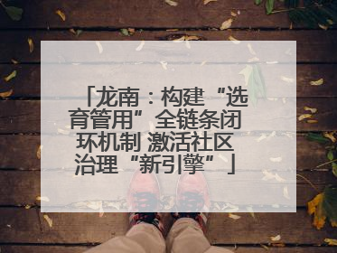 龙南：构建“选育管用”全链条闭环机制 激活社区治理“新引擎”