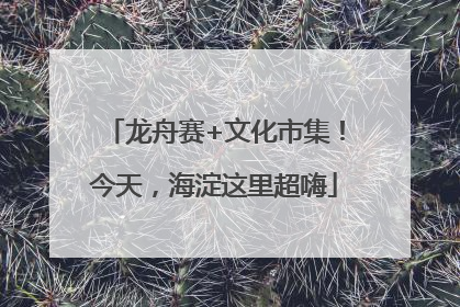 龙舟赛+文化市集！今天，海淀这里超嗨