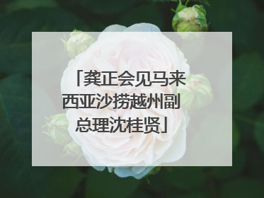 龚正会见马来西亚沙捞越州副总理沈桂贤