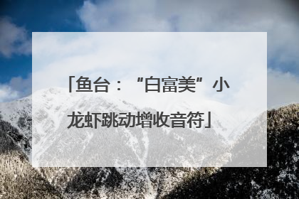 鱼台：“白富美”小龙虾跳动增收音符