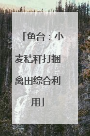 鱼台：小麦秸秆打捆离田综合利用