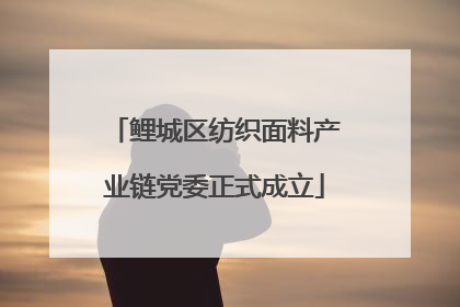 鲤城区纺织面料产业链党委正式成立