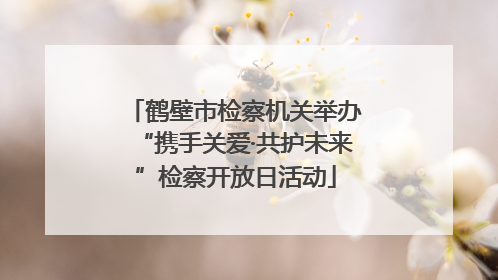 鹤壁市检察机关举办“携手关爱·共护未来”检察开放日活动