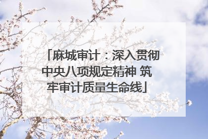 麻城审计：深入贯彻中央八项规定精神 筑牢审计质量生命线