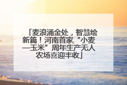麦浪涌金处，智慧绘新篇！河南首家“小麦—玉米”周年生产无人农场喜迎丰收