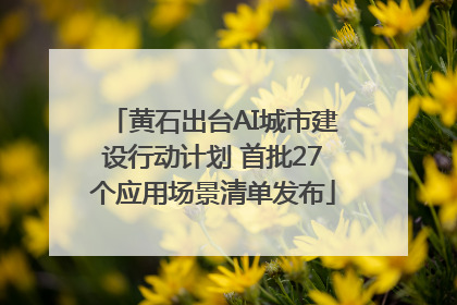黄石出台AI城市建设行动计划 首批27个应用场景清单发布