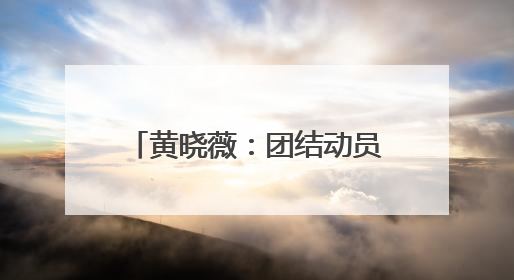 黄晓薇：团结动员妇女为海南自贸港建设贡献巾帼力量