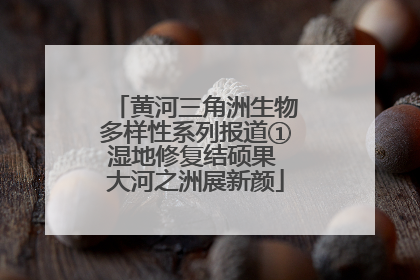 黄河三角洲生物多样性系列报道①湿地修复结硕果 大河之洲展新颜