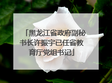黑龙江省政府副秘书长许振宇已任省教育厅党组书记