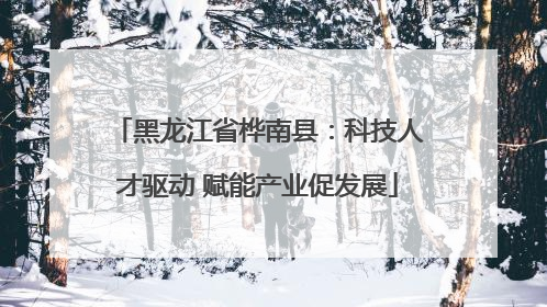 黑龙江省桦南县：科技人才驱动 赋能产业促发展