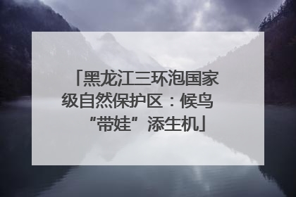 黑龙江三环泡国家级自然保护区：候鸟“带娃”添生机