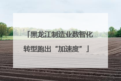 黑龙江制造业数智化转型跑出“加速度”
