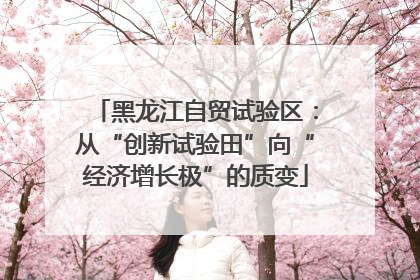 黑龙江自贸试验区：从“创新试验田”向“经济增长极”的质变