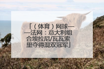 （体育）网球——法网：意大利组合埃拉尼/瓦瓦索里夺得混双冠军