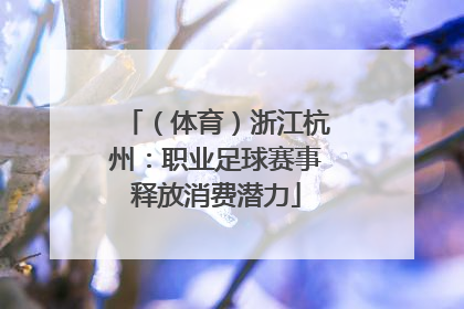 （体育）浙江杭州：职业足球赛事释放消费潜力