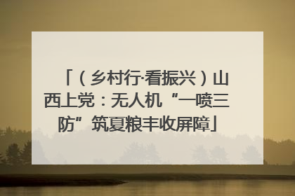 （乡村行·看振兴）山西上党：无人机“一喷三防”筑夏粮丰收屏障