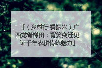 （乡村行·看振兴）广西龙脊梯田：背篓变迁见证千年农耕传统魅力