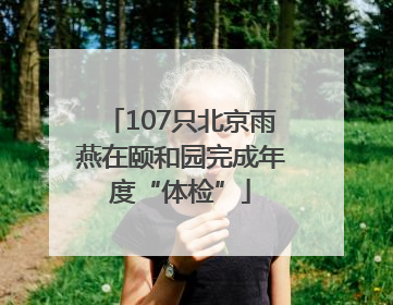 107只北京雨燕在颐和园完成年度“体检”