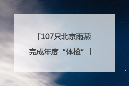 107只北京雨燕完成年度“体检”