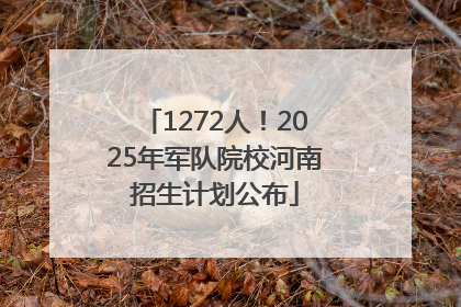 1272人！2025年军队院校河南招生计划公布