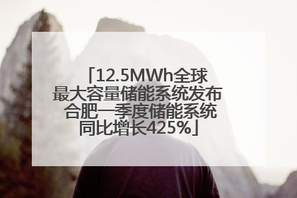 12.5MWh全球最大容量储能系统发布 合肥一季度储能系统同比增长425%