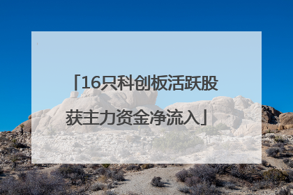16只科创板活跃股获主力资金净流入