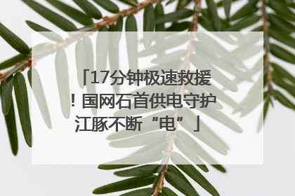 17分钟极速救援！国网石首供电守护江豚不断“电”