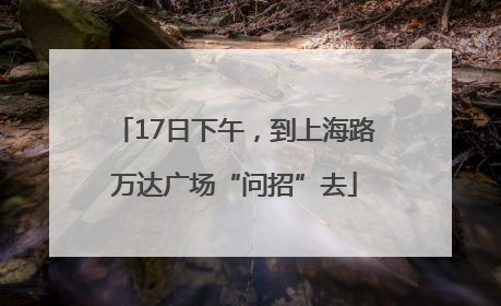 17日下午，到上海路万达广场“问招”去
