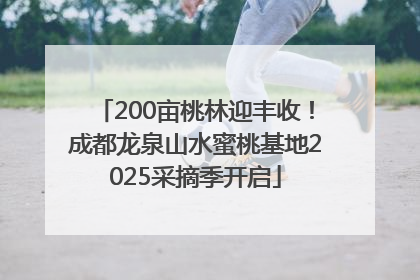 200亩桃林迎丰收！成都龙泉山水蜜桃基地2025采摘季开启